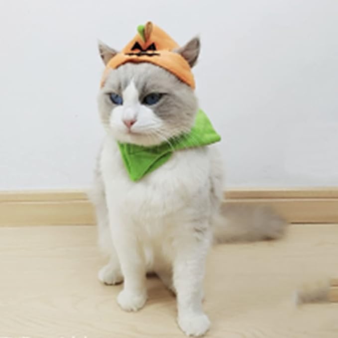ANIAC Pet Halloween Costume Cat Pumpkin Hat with Scarf Halloween Cat Outfit Funny Kitten Outfit Small Dog Pumpkin Costume for Cats Dog Orange