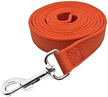 Strong Nylon Dog Leash with 2-Layer, 4 FT/ 6 Feet Long, 1 Inch Wide for Medium Large Dogs (1'' x 5 FT, Orange)