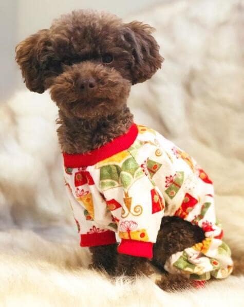 CuteBone Small Dogs Christmas Outfit Soft Puppy Onesies Pjs Dog Pajamas Pet Coat Cat Apparel Comfy Doggie Jumpsuit Bodysuit for All Seasons P17L