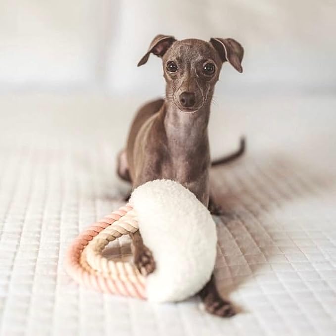 Fur Elise Iris Plushie