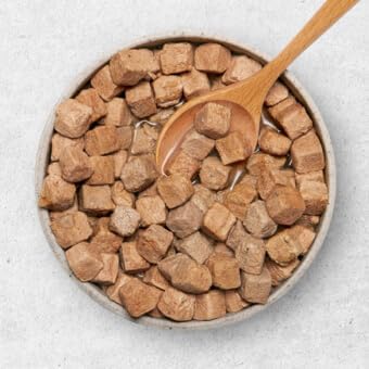 ULTIMATE PET NUTRITION Nutra Complete, 100% Freeze Dried Veterinarian Formulated Raw Dog Food with Antioxidants Prebiotics and Amino Acids, (1 Pound, Pork)