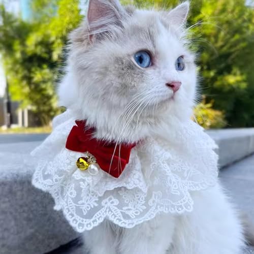 HEEPDD Pet Lace Bib Collar with Bow, Bandana Scarf Costume, Dress Up Accessories for Cats, Puppies, Medium Size