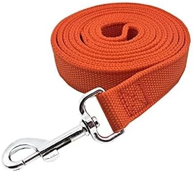 Strong Nylon Dog Leash with 2-Layer, 4 FT/ 6 Feet Long, 1 Inch Wide for Medium Large Dogs (1'' x 7 FT, Orange)