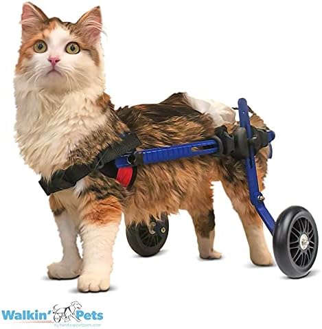 Walkin' Wheels Lightweight – for Small Cats 2 to 20 Pounds – Veterinarian Approved – Cat Wheelchair for Back Legs, for Cats 2-10 lbs, 9-12 inches Leg Height – Blue