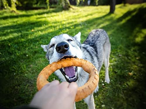 Spunky Pup Gnaw Guard Foam Dog Toy | Strong Dental Chew Toy | Promotes Healthy Teeth & Gums | Large Ring