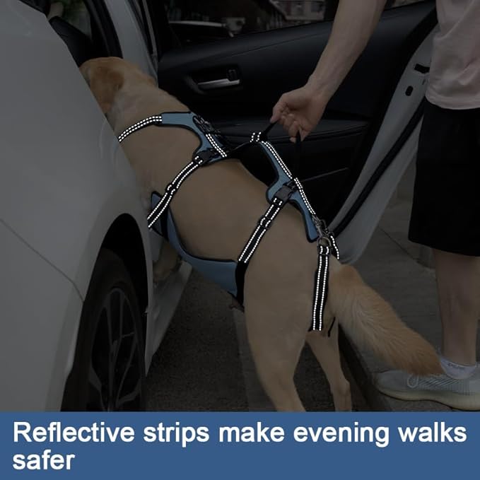 Coodeo Dog Lift Harness, Support & Recovery Sling, Pet Rehabilitation Lifts Vest Adjustable Breathable Straps for Old, Disabled, Joint Injuries, Arthritis, Paralysis Dogs Walk (Blue,M)