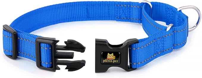 Plutus Pet Reflective Martingale Collar with Buckle - Durable and Adjustable Training Collar for No Pulling, Dog Choker Collar for Small Medium Large Dogs, Royal Blue, S