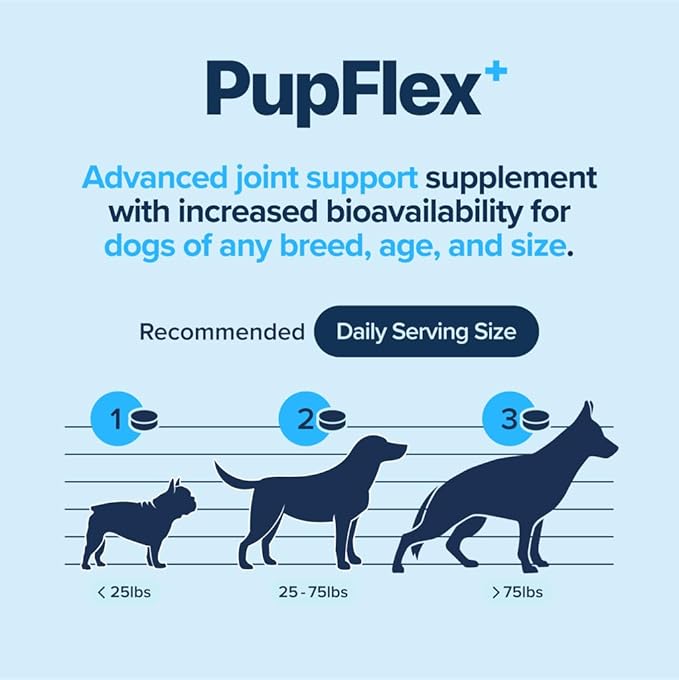 PupFlex+ Hip and Joint Supplement Dogs, Vet Created Soft Chews with UC-II® Collagen for Dogs, CurcuVET® & Omega 3, Proven More Effective Than Glucosamine Chondroitin, Dog Joint Supplement (60 ct)