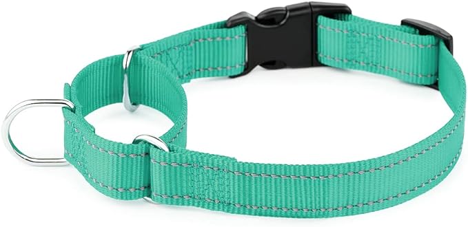 Plutus Pet Reflective Martingale Collar with Buckle - Durable and Adjustable Training Collar for No Pulling, Dog Choker Collar for Small Medium Large Dogs, Teal, XS