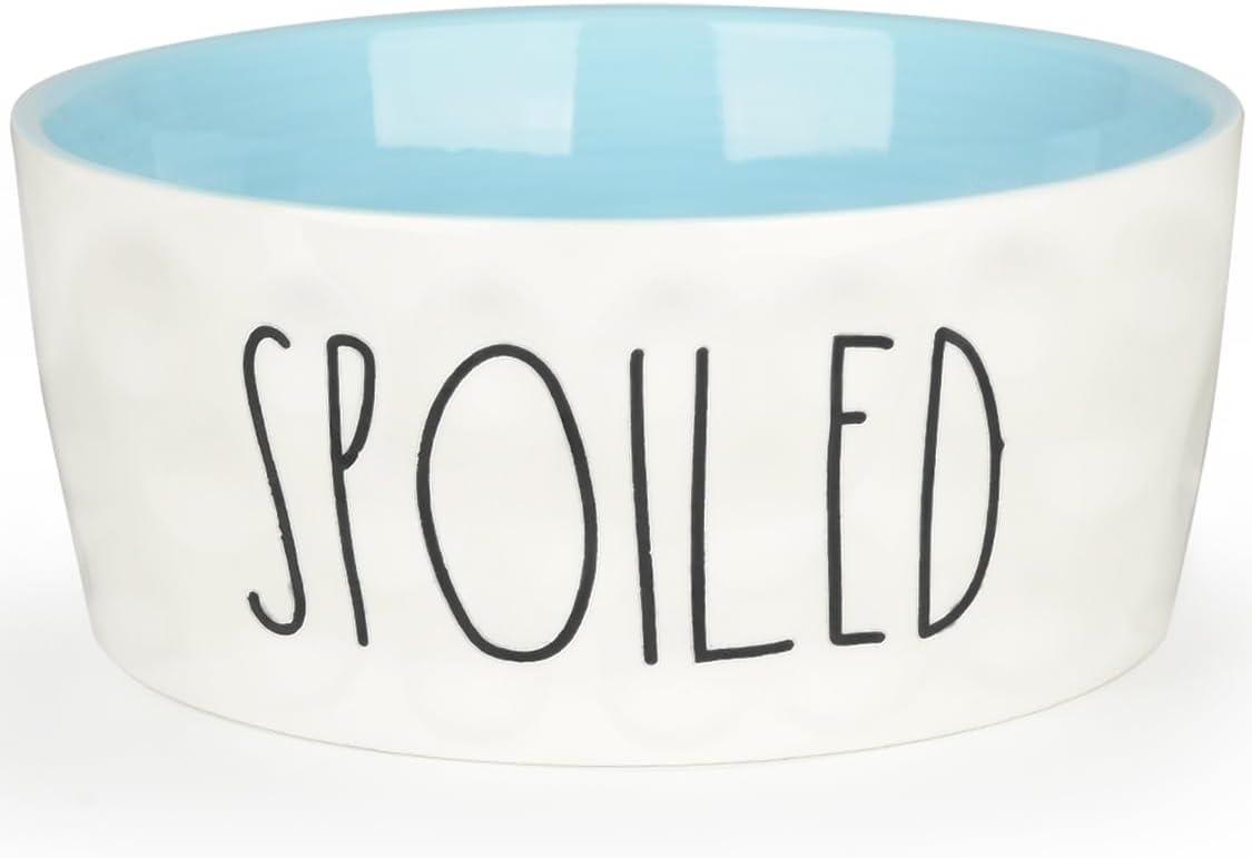 27OZ Ceramic Dog Bowl - 6 Inch Small Food Water Bowl, Heavy Duty Non-Slip Dog Dish for Medium Dogs, Food Grade Porcelain Pet Feeder Bowls, Microwave & Dishwasher Safe, Blue