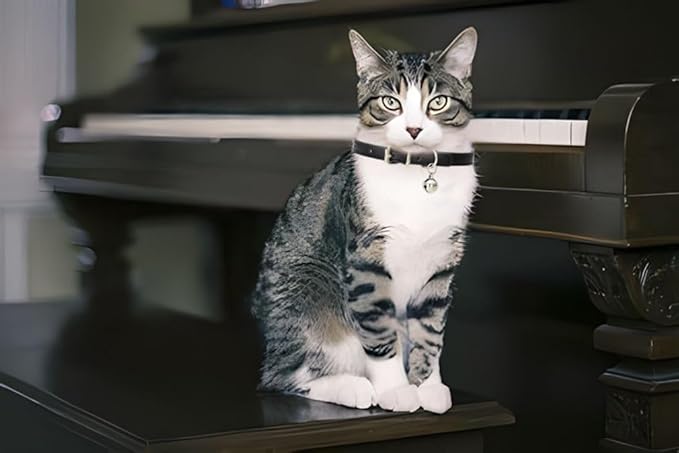 Hot Pink XS Dog Collar with Bell, Soft Pu Leather Cat Collars Adjustable Buckle for XXS Extra Small Medium Tiny Female Girls Pets Puppy Kitten Teacup Yorkie X-Small