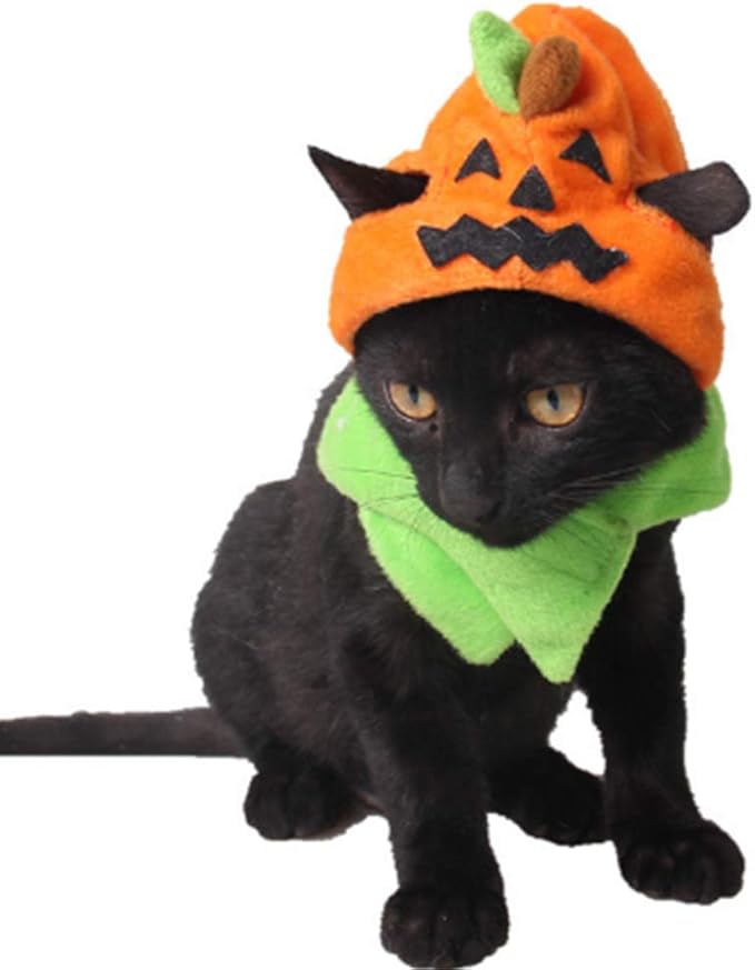 ANIAC Pet Halloween Costume Cat Pumpkin Hat with Scarf Halloween Cat Outfit Funny Kitten Outfit Small Dog Pumpkin Costume for Cats Dog Orange