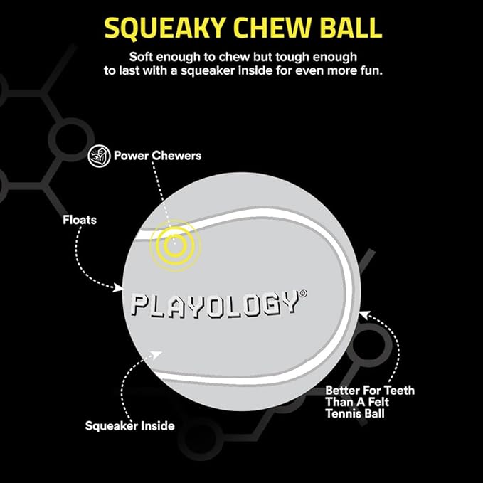 Playology Dog Toys | Squeaky Chew Ball - Bouncy Durable Floating Fetch Ball for Dogs, Value 2-Pack | Medium Peanut Butter Scented Toy - Easy to Clean and Made from Non Toxic Materials