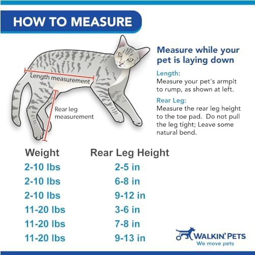 Walkin' Wheels Lightweight – for Small Cats 2 to 20 Pounds – Veterinarian Approved – Cat Wheelchair for Back Legs, for Cats 11-20 lbs, 7-8 inches Leg Height – Seafoam