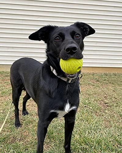 Chew King Supreme Rubber Fetch Balls - Extremely Durable Natural Rubber Toy, 2.5 inch, Yellow (CM-10066-CS01)