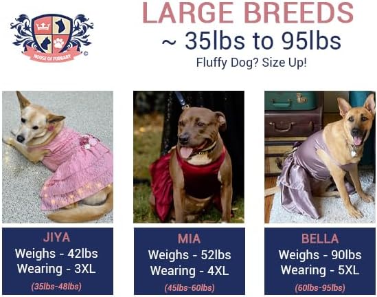 Sunflower Dog Dress, Navy Sunflower Wedding Dog Dress, Dog Flower Girl Dress, The Dorothy, Wedding Dog Dress, Dog Clothes (XXXX-Large (45-60 lbs))