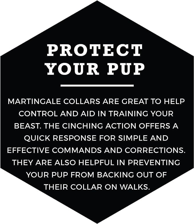 Wolfgang Heavy Duty Martingale Dog Collar with Quick Release Nylon Buckle for Walking & Training, ChevTech Print, Extra Large