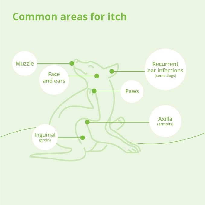 Oatmeal Shampoo, 12 Ounce