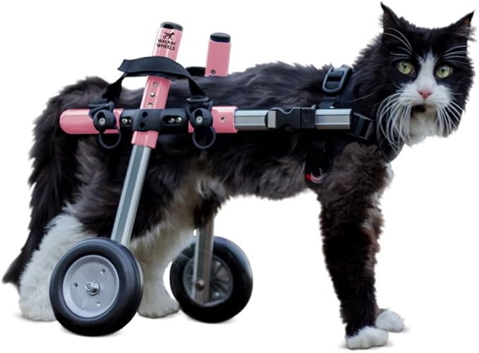 Walkin' Wheels Lightweight – for Small Cats 2 to 20 Pounds – Veterinarian Approved – Cat Wheelchair for Back Legs, for Cats 11-20 lbs, 7-8 inches Leg Height – Pink