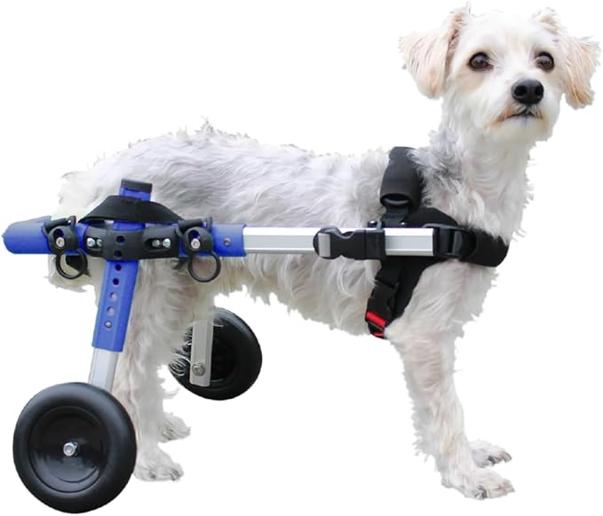 Walkin' Wheels Small Dog Wheelchair, Lightweight Dog Wheelchair for Back Legs, 11-14 lbs, for 7-8 inches Leg Height - Blue