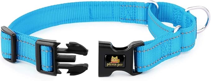 PLUTUS PET Reflective Martingale Collar with Quick Snap Buckle,No Pull Dog Choker Collar for Small Medium Large Dogs,L,Blue