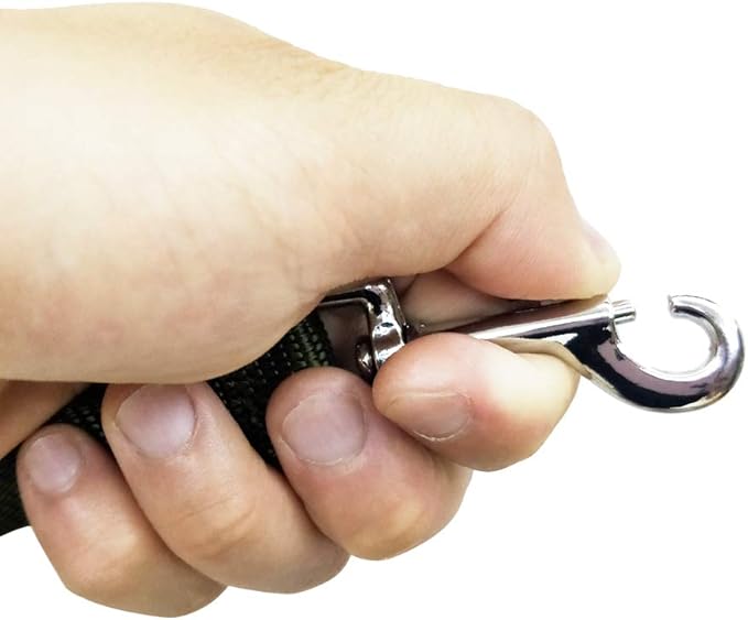 Nylon Training Dog Leash for Small Medium Large Dogs, 15ft 20ft 30ft 50ft Long Leash Dog/Puppy Lead for Obedience Recall Training, Camping (30ft, Green)