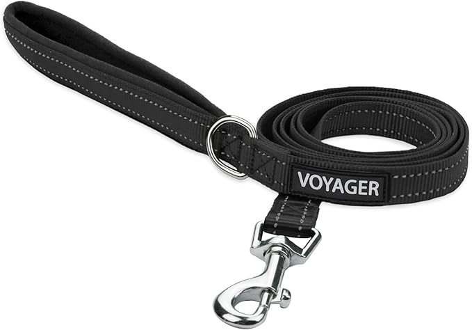 Voyager Reflective Dog Leash with Neoprene Handle, 5ft Long, Supports Small, Medium, and Large Breed Puppies, Cute and Heavy Duty for Walking, Running, and Training - Black (Leash), S