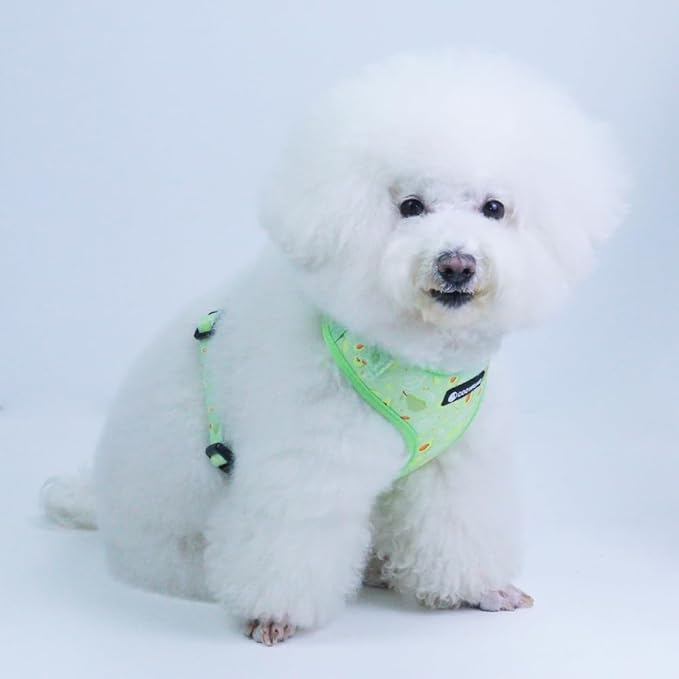 Dog Harness and Leash Set, Adjustable Dog Harness, Dog Leash, No Pull No Choke Puppy Harnesses for Walking Training for Small Medium Pet