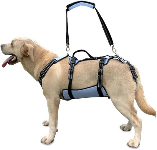 Coodeo Dog Lift Harness, Support & Recovery Sling, Pet Rehabilitation Lifts Vest Adjustable Breathable Straps for Old, Disabled, Joint Injuries, Arthritis, Paralysis Dogs Walk (Blue,M)