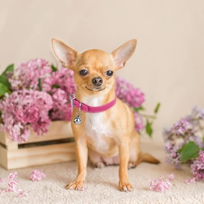 XXS Dog Collar Teacup Dog Collar, Pink Dog Collars, Teacup Dog Collars for Small Dogs Cats, Pink, 3/8 inch Width