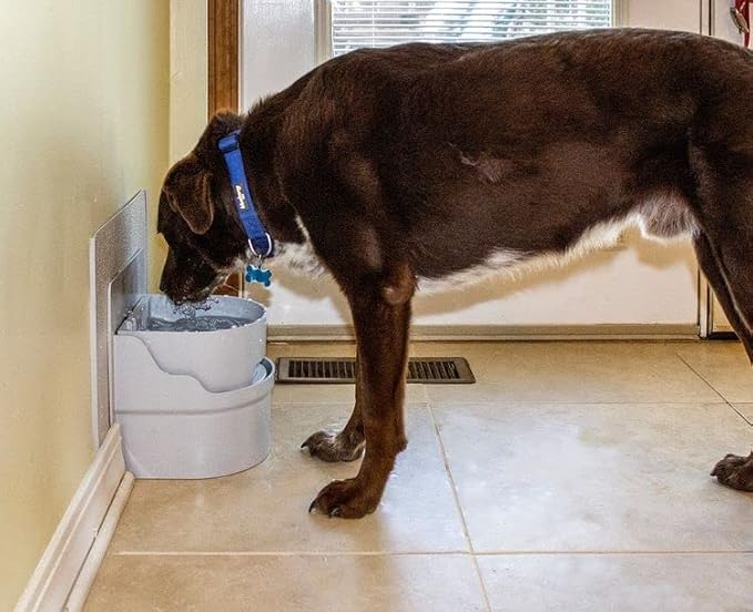 Perpetual Well Automatic Pet Water Bowl (Wall Mount)