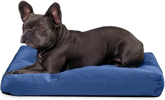K9 Ballistics Tough Rectangle Pillow Small Dog Bed - Removable Cover, Washable, Durable & Water Resistant Dog Bed Made for Small Dogs 24"x18", Blue Quartz