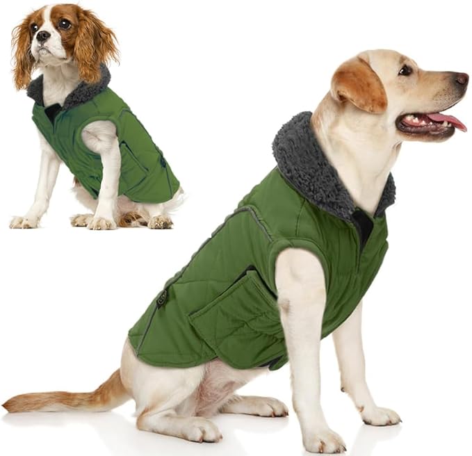 EMUST Dog Winter Coats, Windproof Dog Jackets for Cold Weather with Lofty Collar, Reflective Puppy Clothes for Small Pet Clothes for Dogs, Green, S