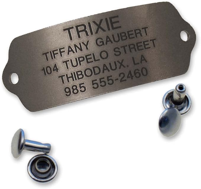 LuckyPet Rivet-On Pet ID Tag - Personalized, Silent and Customized - Suitable for Cats and Dogs - Heavy-Duty Pet Identification - Engraved Tags - Large, Matte Finish Stainless Steel