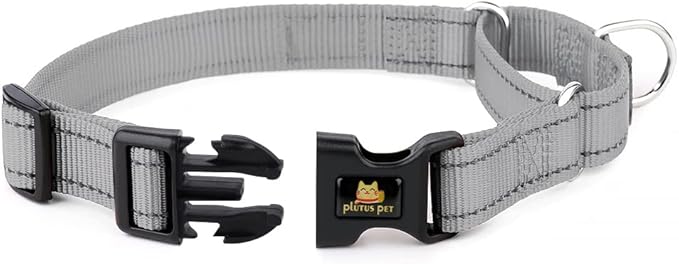 Plutus Pet Reflective Martingale Collar with Buckle - Durable and Adjustable Training Collar for No Pulling, Dog Choker Collar for Small Medium Large Dogs, Gray, M