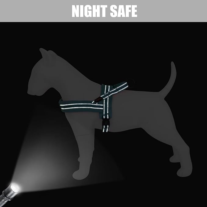 Didog Soft Flannel Padded Dog Vest Harness,Escape Proof/Quick Fit Reflective Dog Strap Harness, Easy for Training Walking(XS:Chest 15-18", Teal)