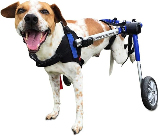 Walkin' Wheels Dog Wheelchair - for Medium Dogs 26-49 lbs - Veterinarian Approved - Dog Wheelchair for Back Legs