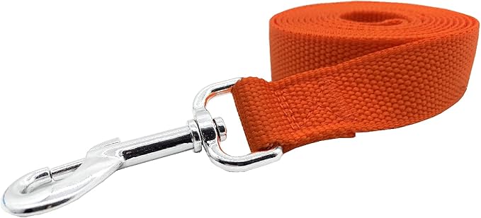 TAIDA Strong Nylon 16 Feet Long Dog Leash, 16 Foot Dog Leashes for Medium Large Dogs, 1 Inch Wide