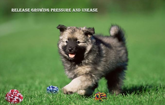 Pet Chew Toy, Knots Weave Cotton Rope, Biting Small Ball for Dogs & Cats, 3 in One Pack