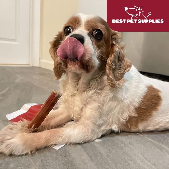 GigaBite Single Ingredient All Natural Free Range Bully Treats and Chews - Bully Sticks/Bladder Sticks/Beef Esophagus by Best Pet Supplies - Bully Sticks (Monstrous 12"), Pack of 4