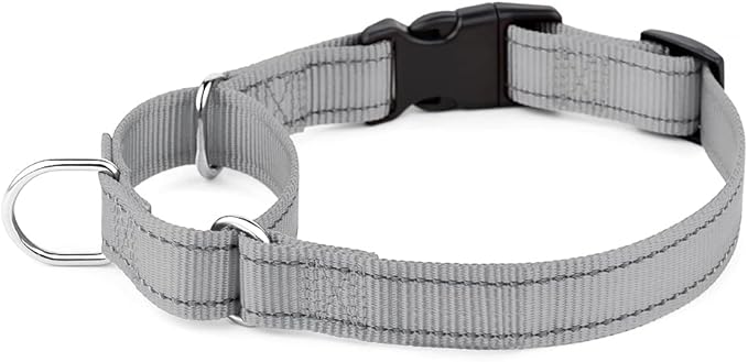 Plutus Pet Reflective Martingale Collar with Buckle - Durable and Adjustable Training Collar for No Pulling, Dog Choker Collar for Small Medium Large Dogs, Gray, M