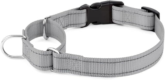 Plutus Pet Reflective Martingale Collar with Buckle - Durable and Adjustable Training Collar for No Pulling, Dog Choker Collar for Small Medium Large Dogs, Gray, XS