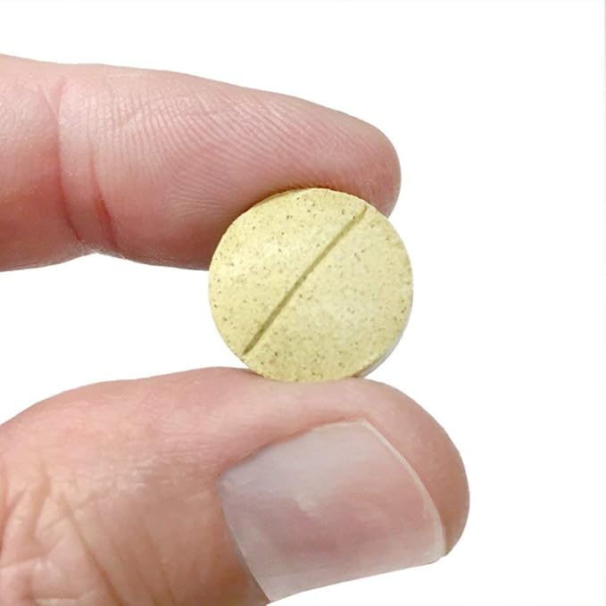 Vet's Best Healthy Coat Shed & Itch Relief Dog Supplements | Relieve Dogs Skin Irritation and Shedding Due to Seasonal Allergies or Dermatitis | 50 Chewable Tablets