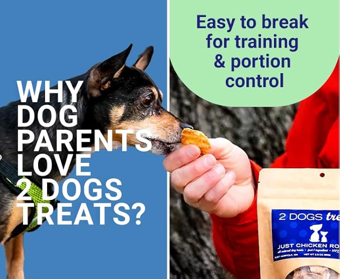 Just Chicken Jerky | 100% USA-Sourced, Single-Ingredient, Great for Sensitive Stomachs, Human-Grade USDA Chicken, Grain-Free, Allergy-Friendly, High Value for Training | 2 Pack