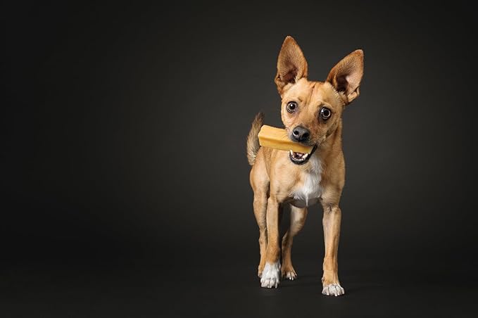 Yak Cheese Himalayan Dog Chews, High Protein, Natural Dog Treats Small Dogs, Lactose Free Chew Sticks for Aggressive Chewers, Long Lasting Pet Treat for Dogs Under 15 lbs, 3lb Bulk Small