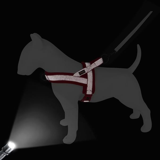 Didog No Pull Dog Harness with Breathable Mesh Padded, Full Reflective & Quick Fit Adjustable Vest Harness, Easy for Training Walking for Small & Medium and Large Dogs (Red, M:Chest 21-26")