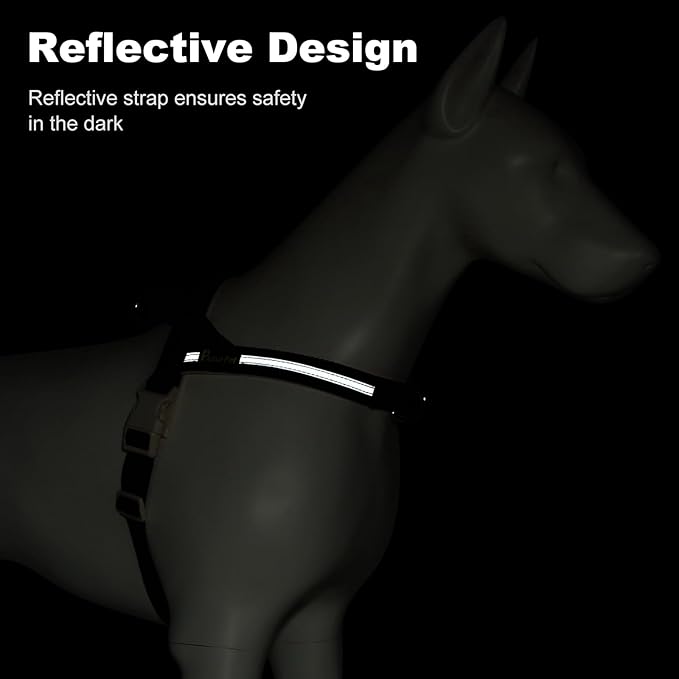 Plutus Pet Cotton Dog Harness and Leash Set, Reflective and Soft Padded, Quick Fit Vest Harness, for Small, Medium and Large Dogs, Orange, XS