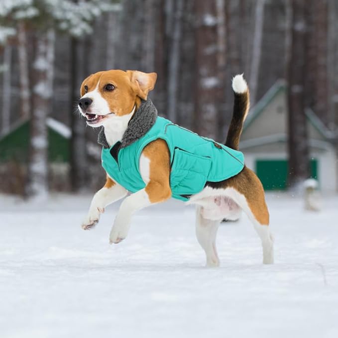 EMUST Winter Coat for Large Dogs, Windproof Dog Jacket for Cold Weather, Extra Warm Dog Winter Clothes for Small Medium Large Dogs, Turquoise, XXL