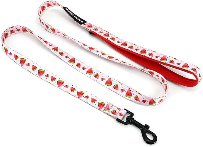 Dog Harness and Leash Set, Adjustable Dog Harness, Dog Leash, No Pull No Choke Puppy Harnesses for Walking Training for Small Medium Pet