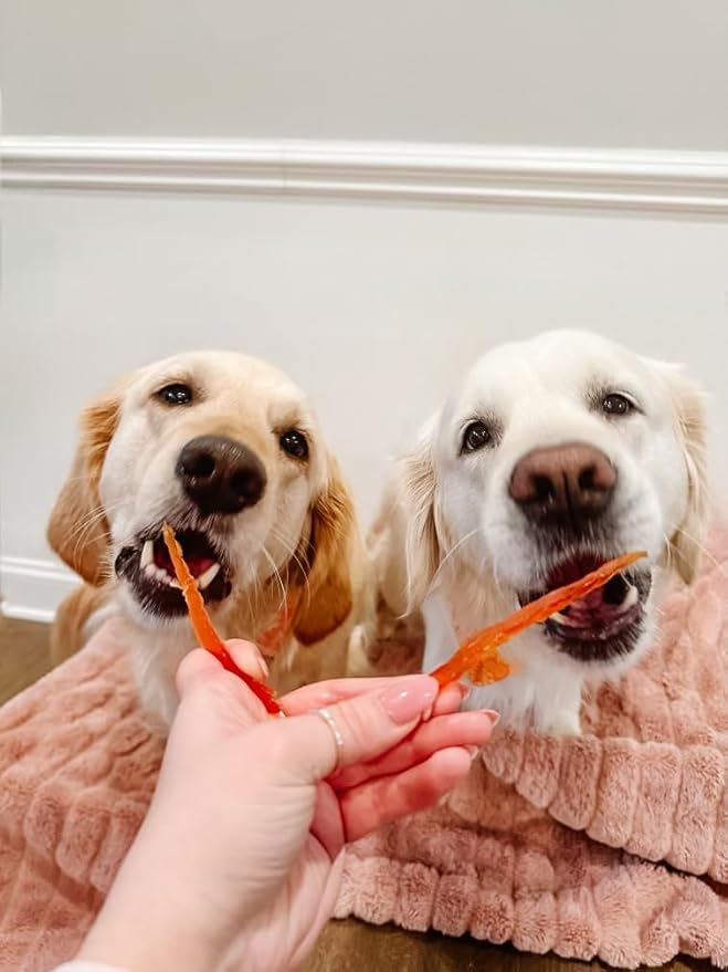 Rena's Recipe Chicken Fillet Slices 1 lb (4 oz X 4 Packs) Glucosamine & Chondroitin Added for Joing and Hip Health